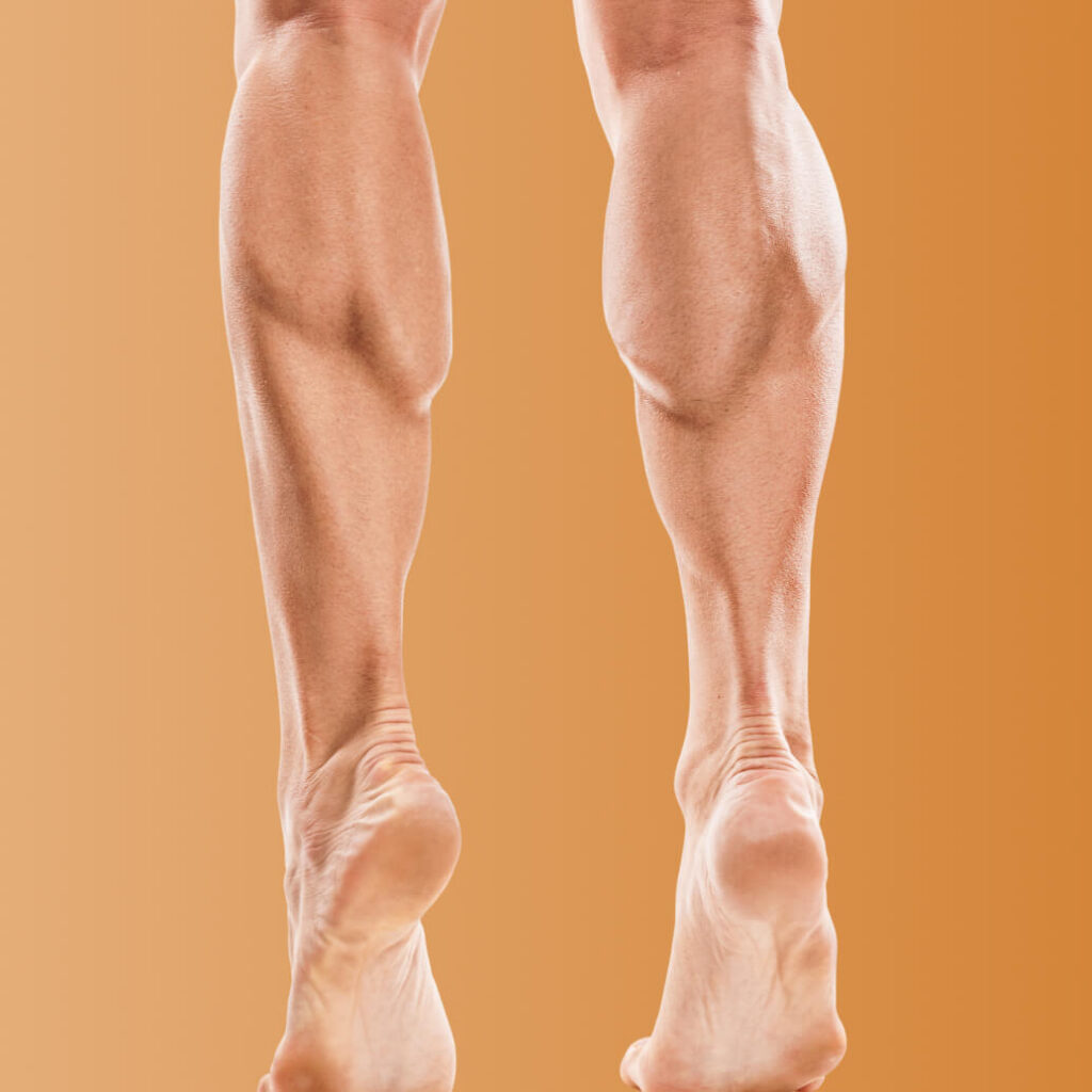 Calves