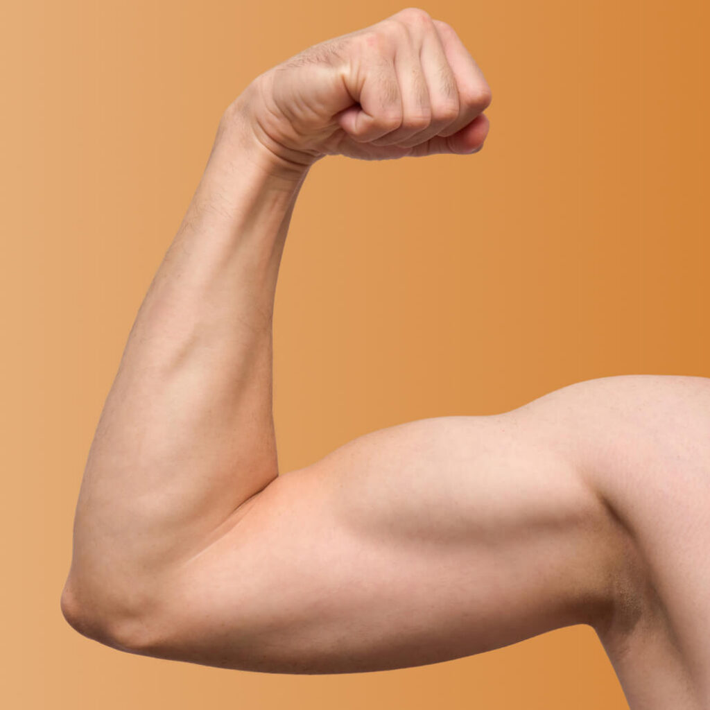 Arms